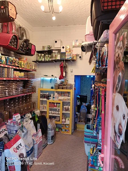 41 PET HOUSE foto 2