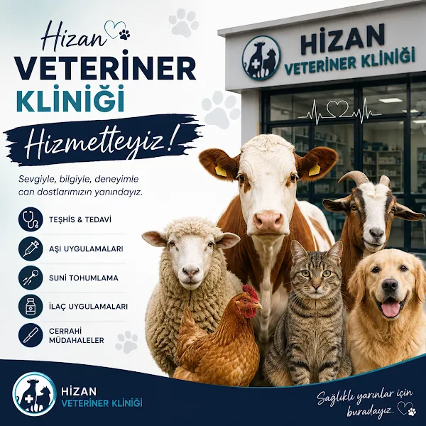 Hizan Veteriner Kliniği foto 2