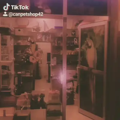 can akvaryum petshop