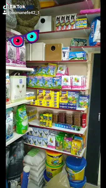 can akvaryum petshop foto 2