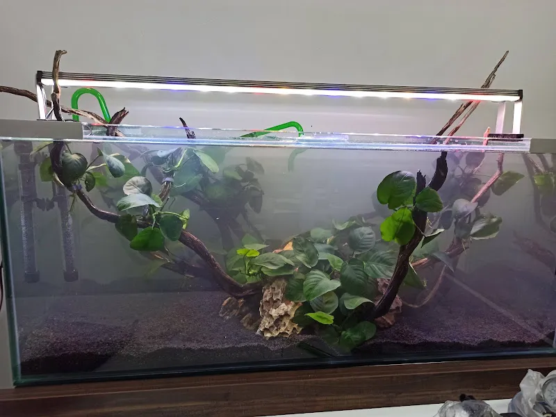 Emamapet foto 1