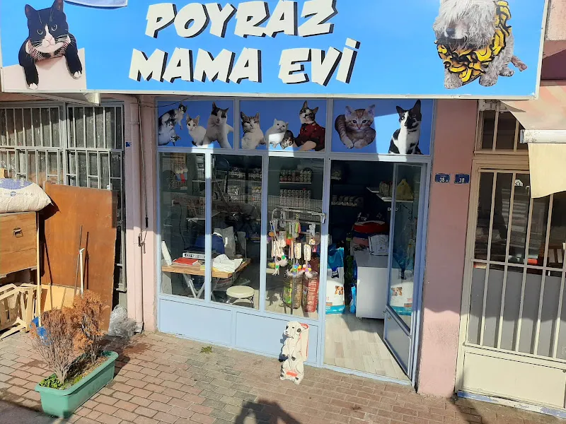 Poyraz Mama Evi foto 1