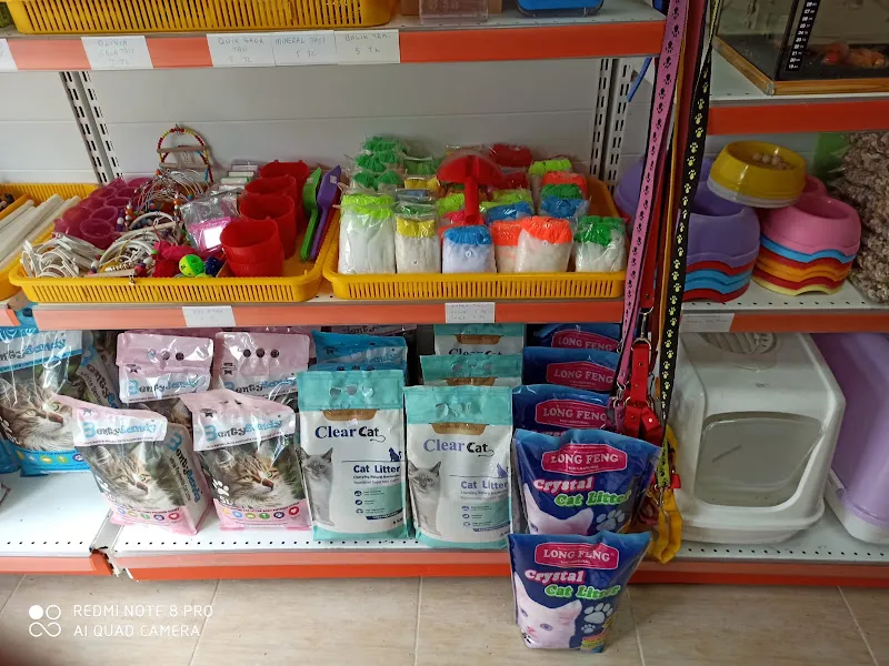 Kümes Market foto 2