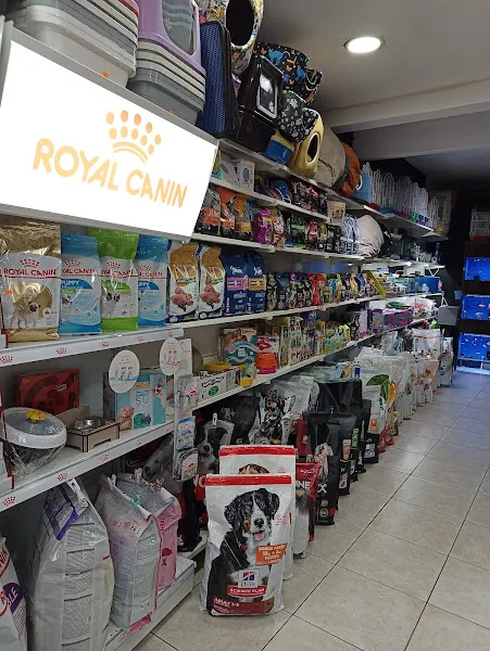 Petscape Petshop Beylikbağı Şubesi foto 2
