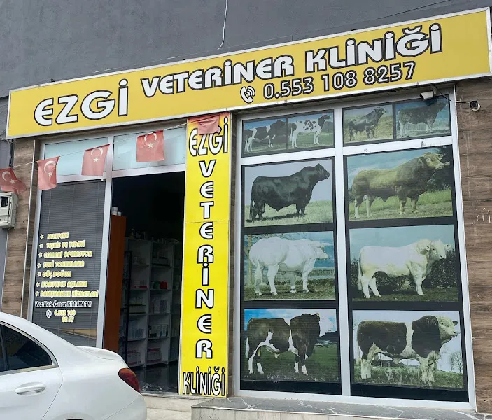 Ezgi Veteriner Kliniği foto 1