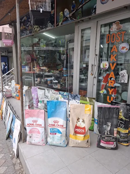 Dost Petshop Akvaryum foto 1