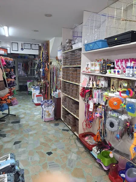 Dost Petshop Akvaryum foto 2