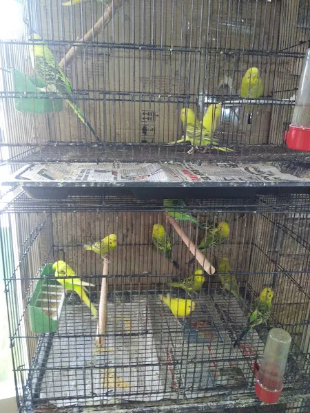 Kuzey Petshop foto 2