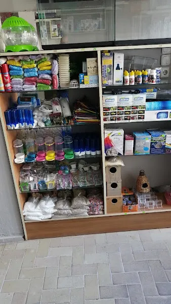 Göç Akvaryum foto 2