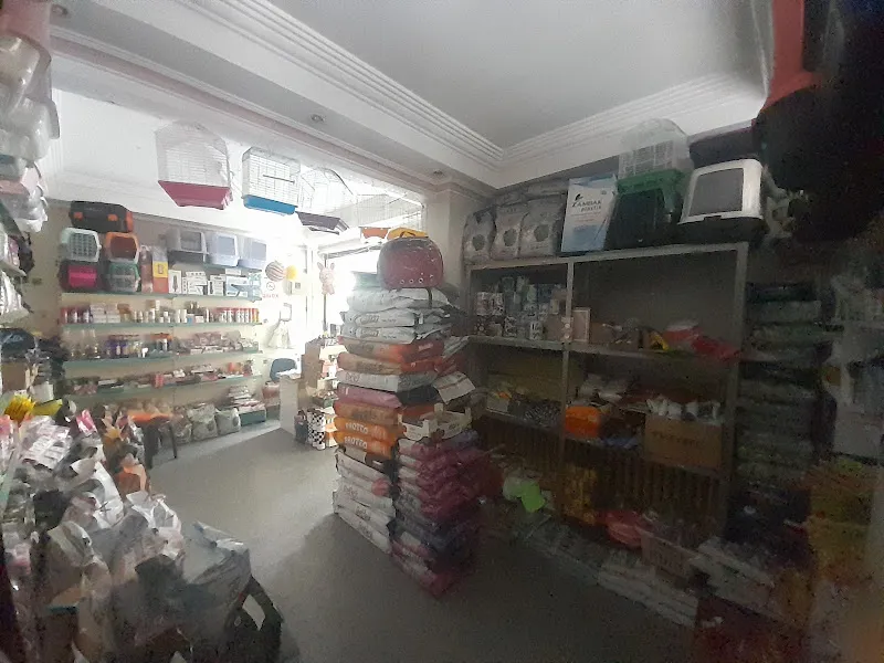 Berke petshop akvaryum foto 2