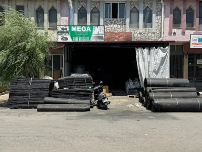 MEGA HAYVAN SULUKLARI