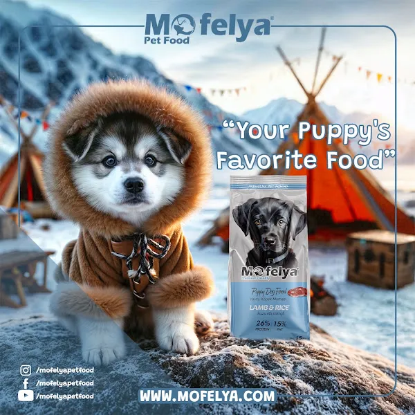 MOFELYA PET FOOD foto 2