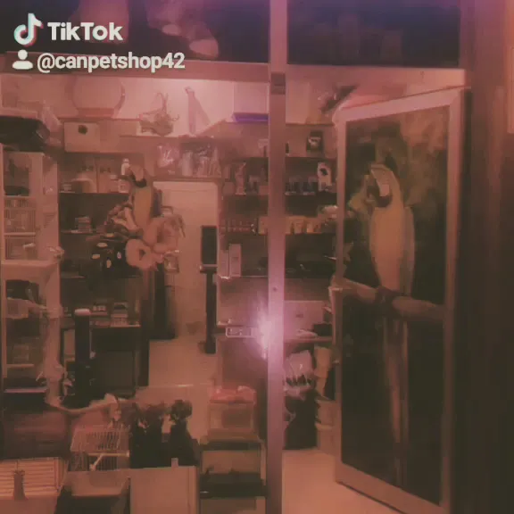 CAN Akvaryum foto 2
