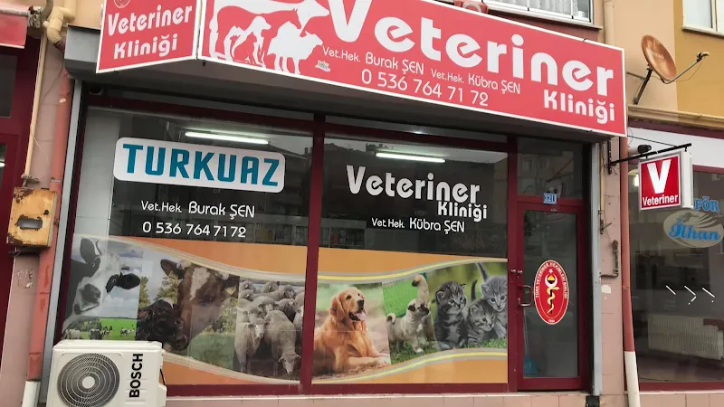Turkuaz Veteriner Kliniği foto 1