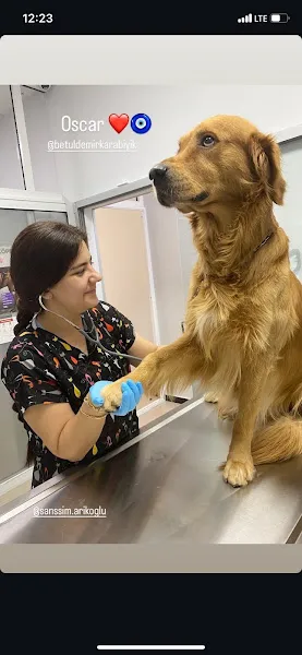 Anka Veteriner Kliniği foto 2