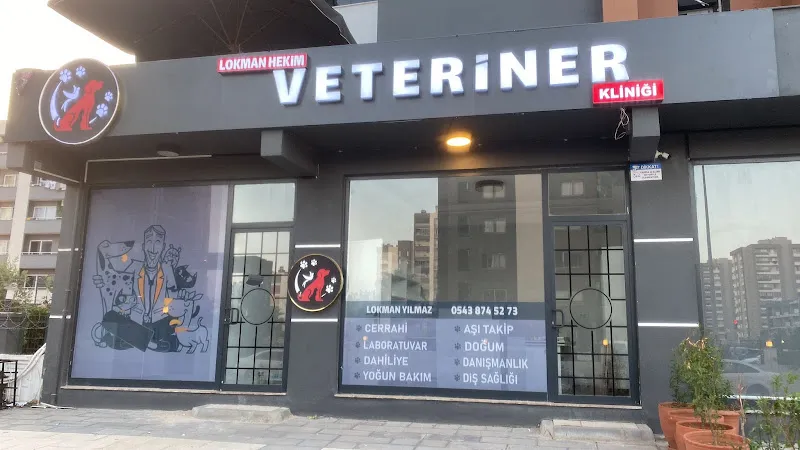 Lokman Hekim Veteriner Kliniği foto 1