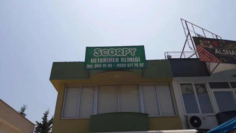 Scorpy Veteriner Kliniği foto 1