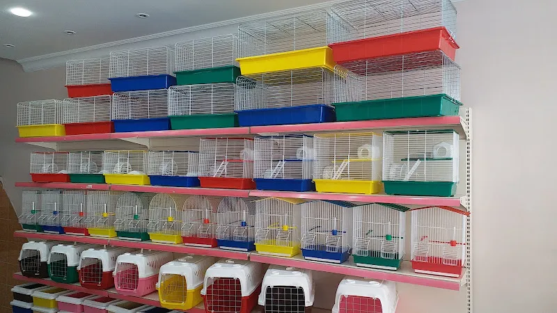 Kanary Pet Shop foto 2