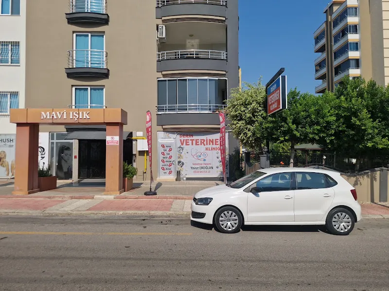 Derin Veteriner Kliniği foto 2
