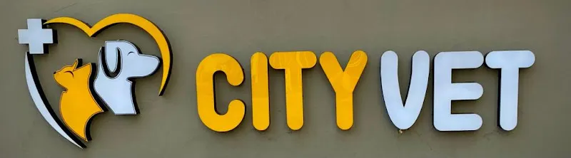 CITY VET VETERİNER KLİNİĞİ foto 1