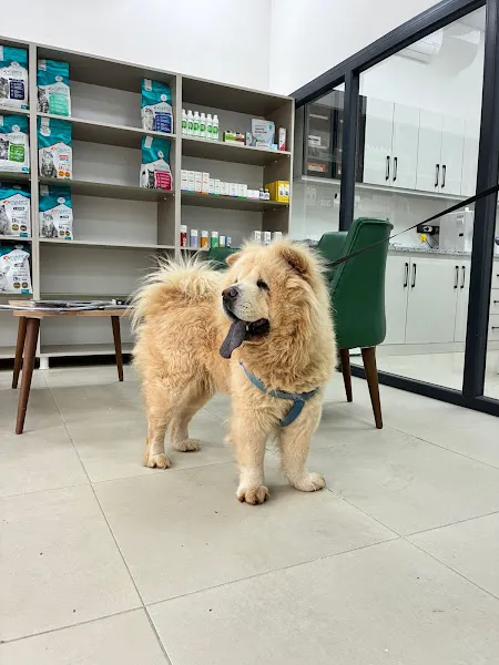 Oria Veterier Kliniği foto 2