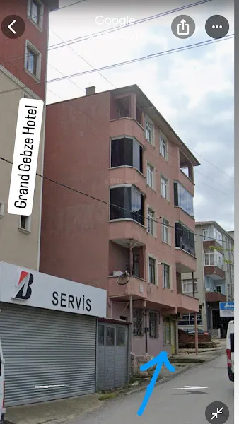 Şanslı Patiler Petshop&Petkuaför foto 1