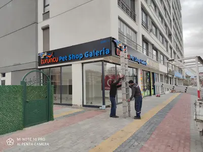 Turuncu akvaryum