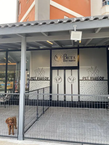 Beta Veteriner Kliniği foto 2