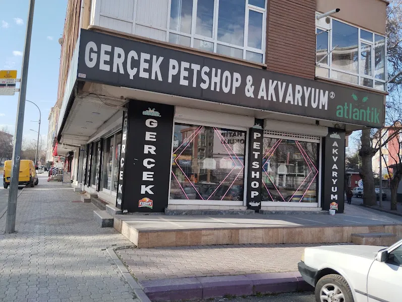 Gerçek PETSHOP 2 ihsaniye foto 1