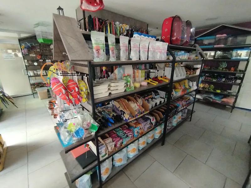 Gerçek PETSHOP 2 ihsaniye foto 2