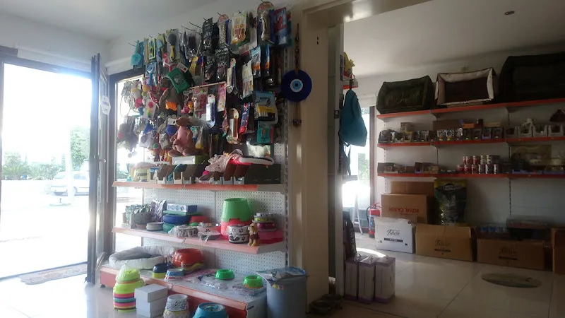 Türkbükü Pet Shop foto 2