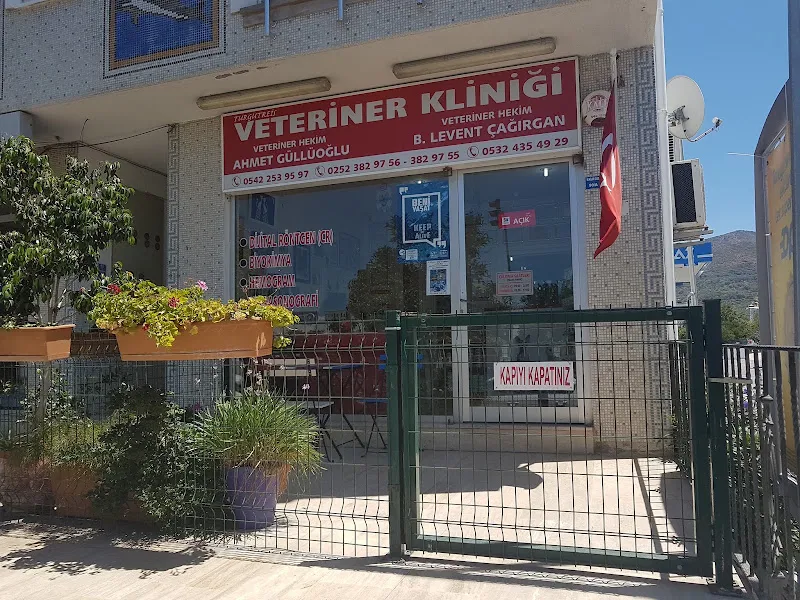 Turgutreis Veteriner Kliniği foto 1