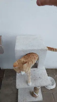 Turgutreis Geçici Bakımevi