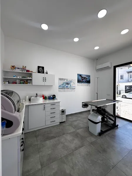 Turgutreis Pawspital Veteriner Kliniği foto 2