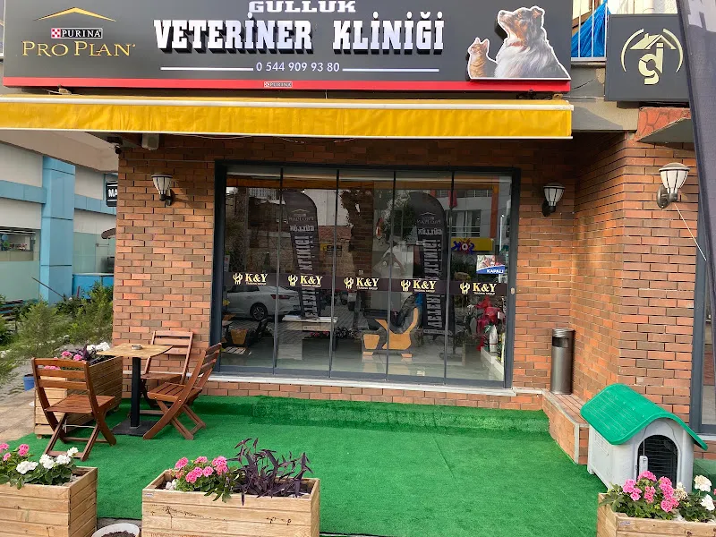 Güllük veteriner kliniği foto 1