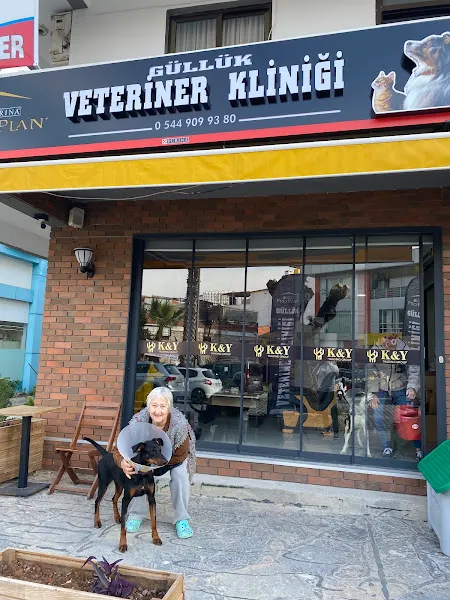 Güllük veteriner kliniği foto 2