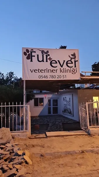 Fur + ever Veteriner Acil 7/24 Bodrum(Turgutreis)Köpek Kedi Evcil Hayvan Doktoru foto 1