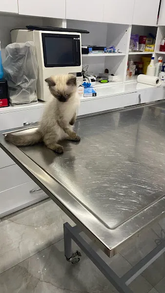 Ören Veteriner Kliniği foto 1