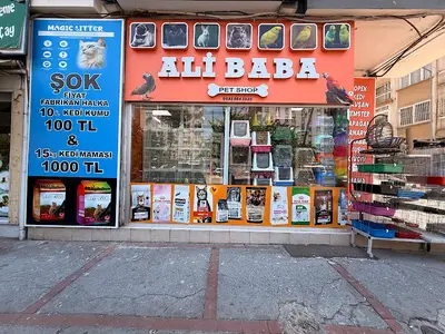 Ali Baba Petshop