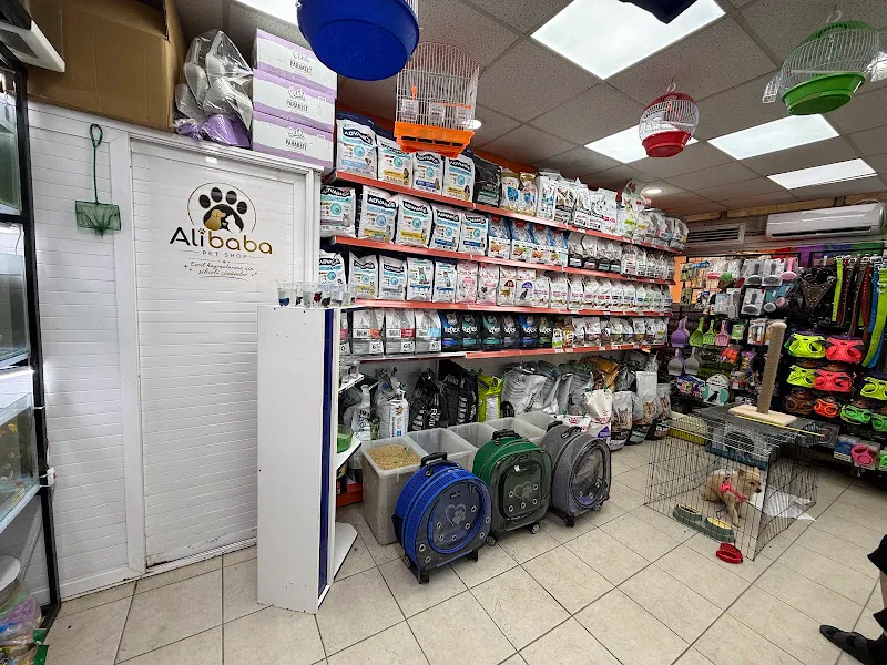 Ali Baba Petshop foto 2