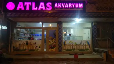 Selçuk Akvaryum