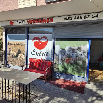 KAYAŞ EYLÜL VETERİNER KLİNİĞİ