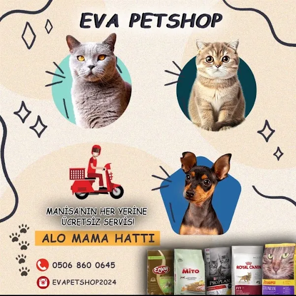 EvaPetshoP foto 1