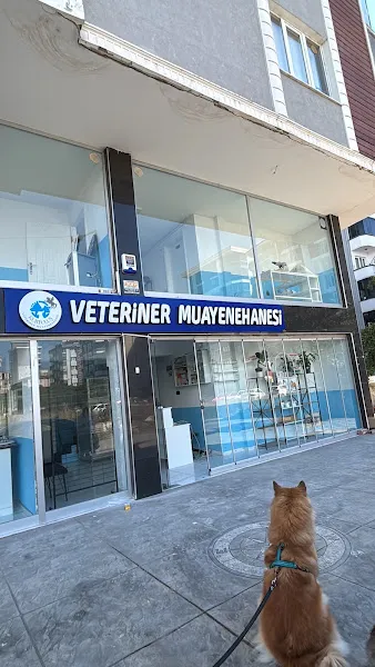 Kurtuluş Veteriner Muayenehanesi foto 1