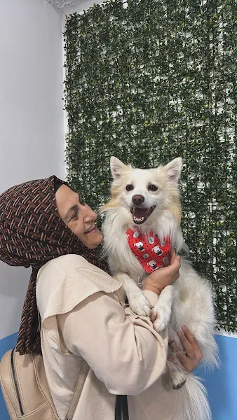 Kurtuluş Veteriner Muayenehanesi foto 2