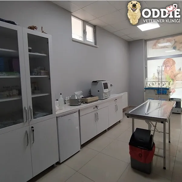 Oddie Veteriner Kliniği foto 1