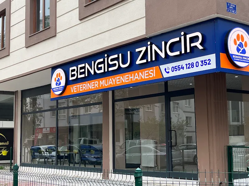 Bengisu Zincir Veteriner Muayenehanesi foto 1