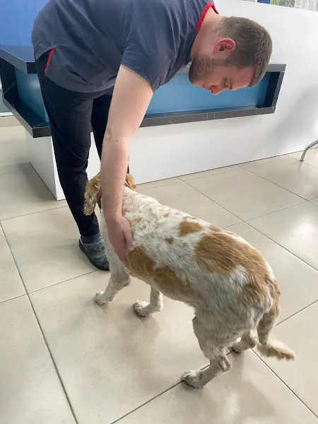 Yaşam Veteriner Kliniği - Adalet foto 2