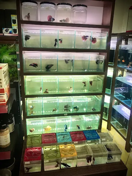 ULUKAYA PETSHOP foto 2