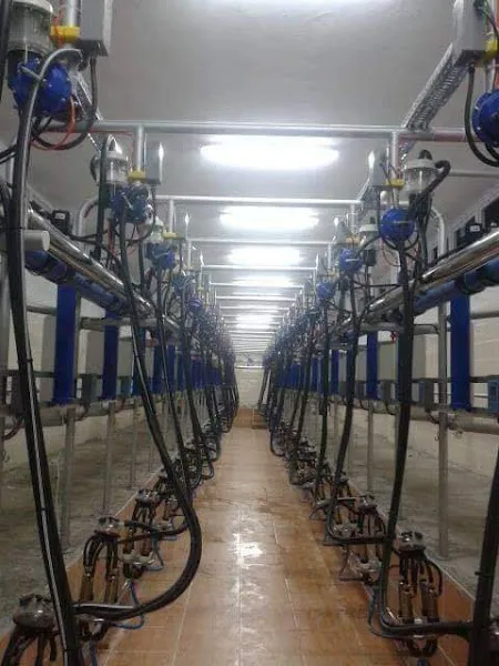 SALİHLİ SÜT SAĞIM SİSTEMLERİ foto 2